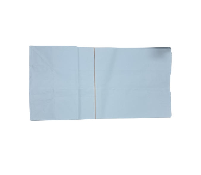 Delivery Bags white(10)